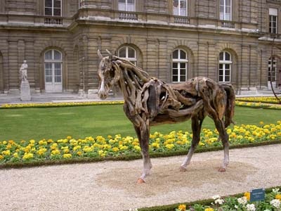 driftwood art